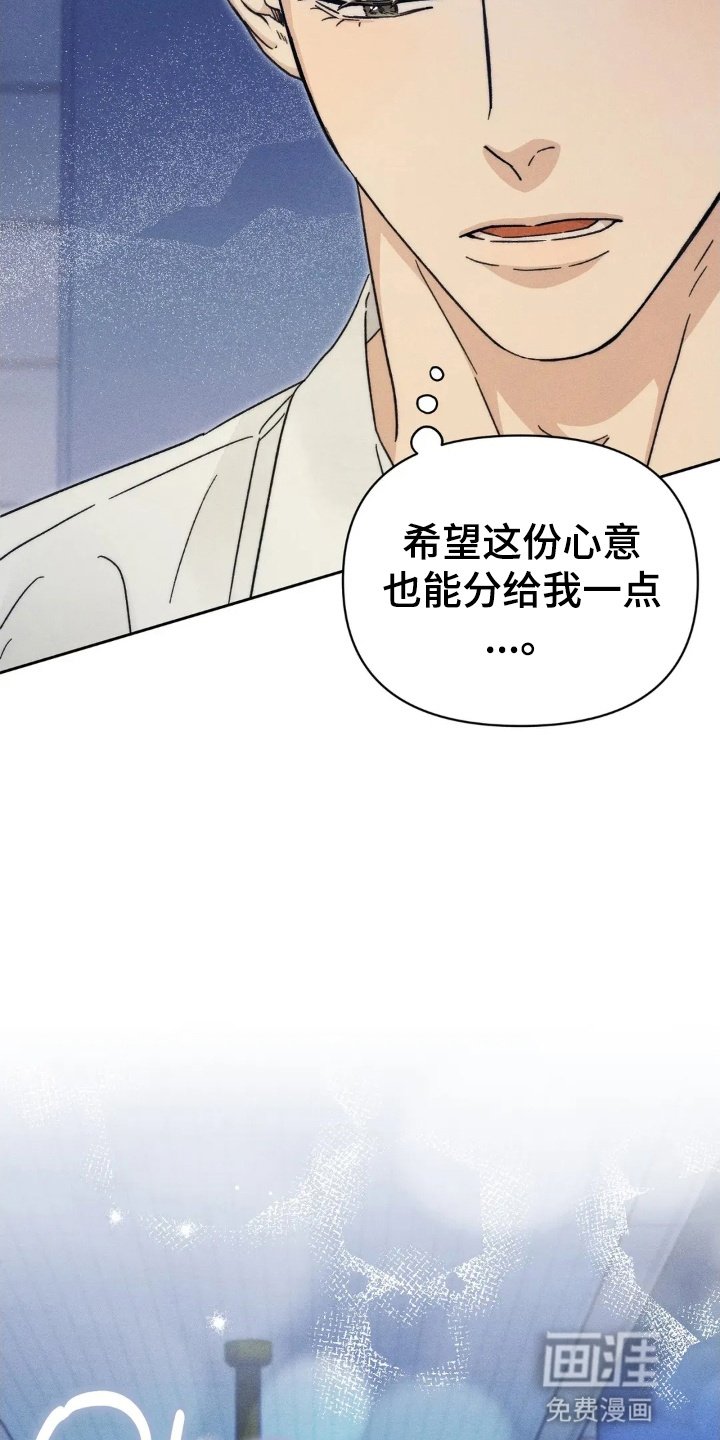 第13章：他的心意
