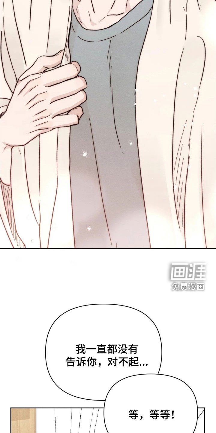 第20章：告白