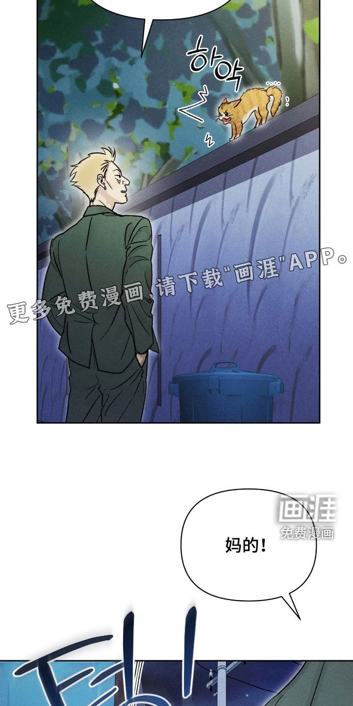第28章：厄运之盐