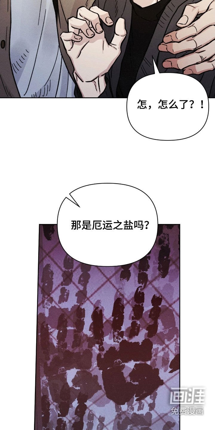 第28章：厄运之盐