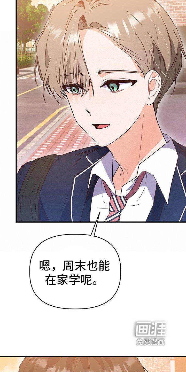 第13章：建议