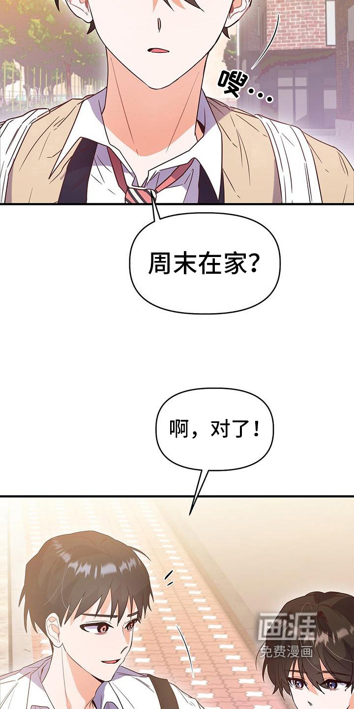 第13章：建议