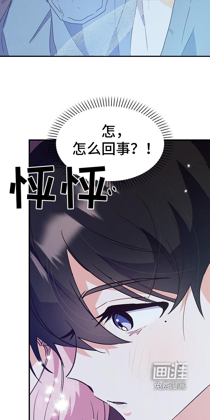 第15章：看电影