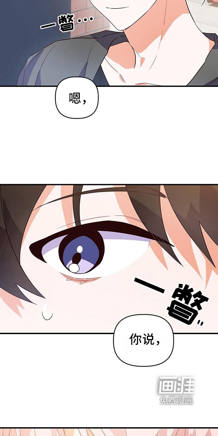 第17章：针锋相对