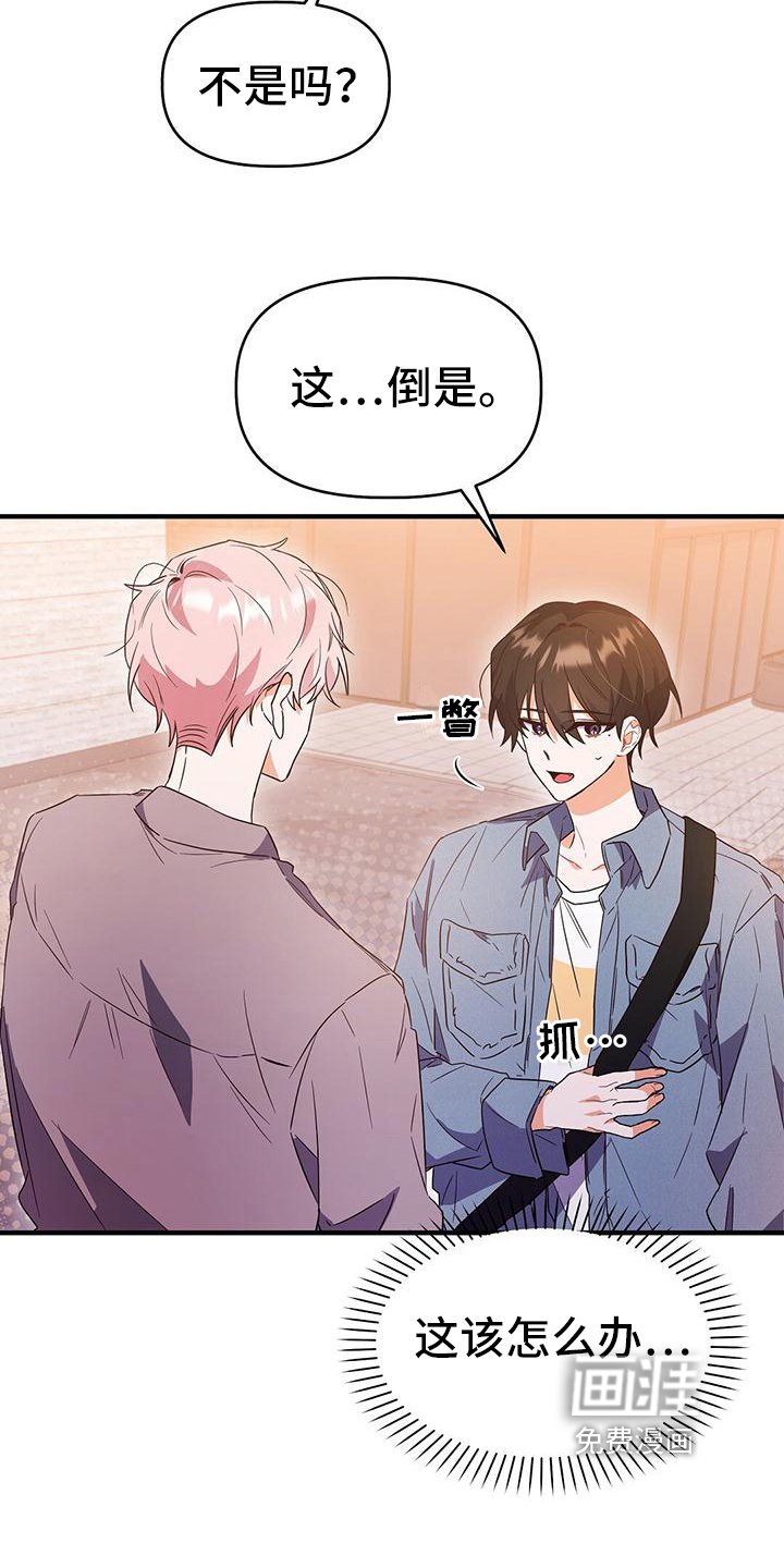 第20章：送回家