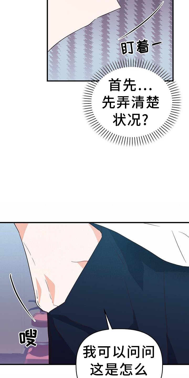 第31章：推理