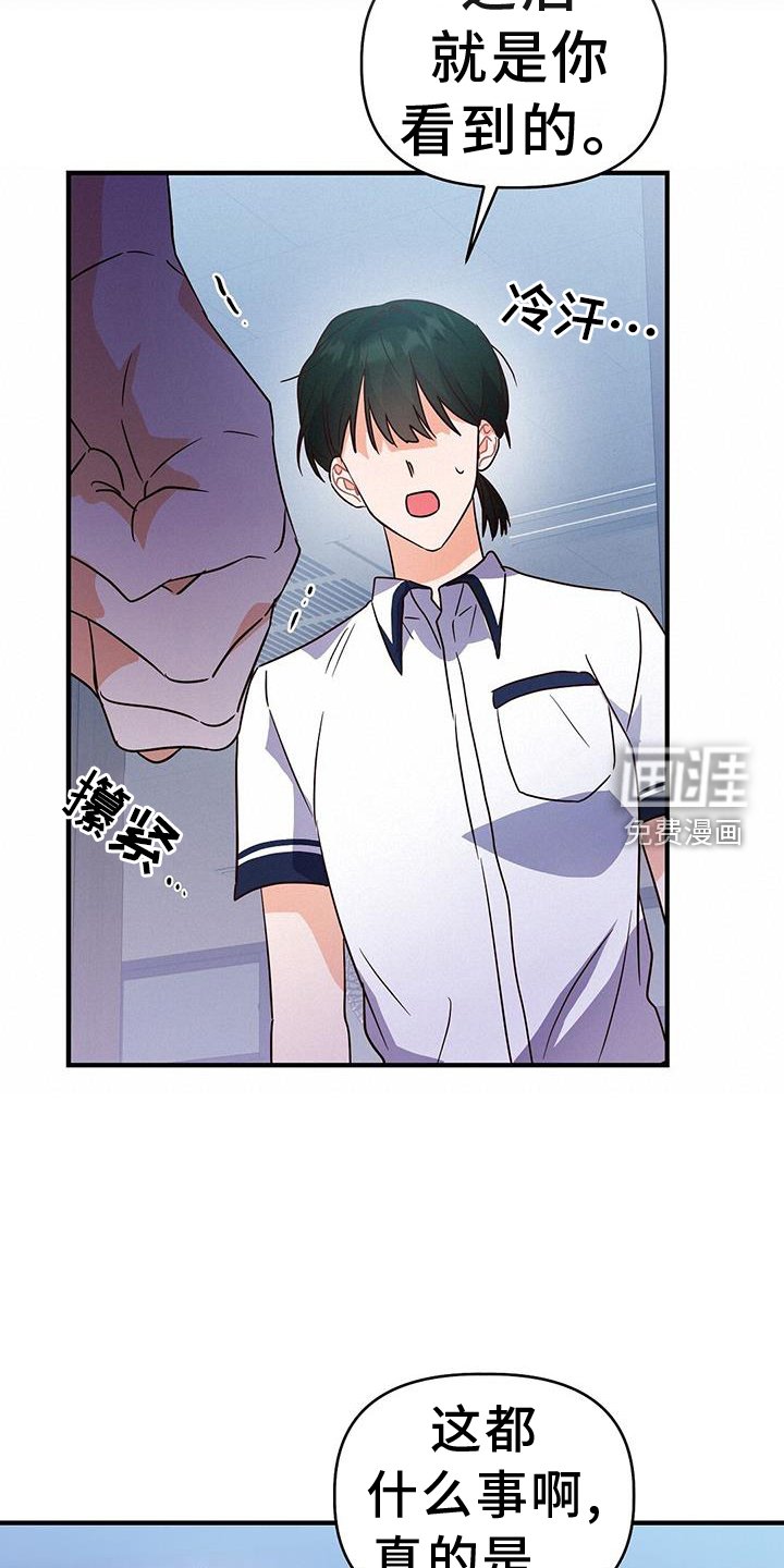 第31章：推理