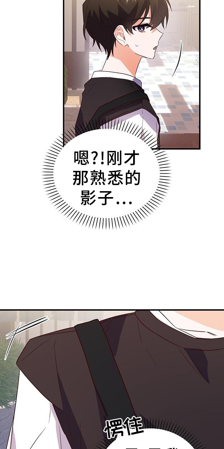 第41章：偶遇