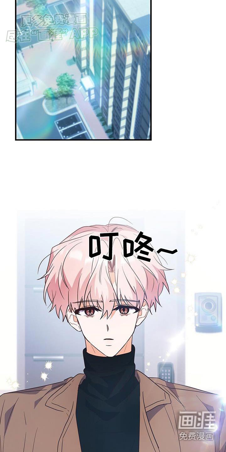 第63章：有关系