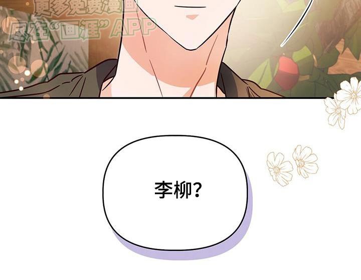 第67章：戒指
