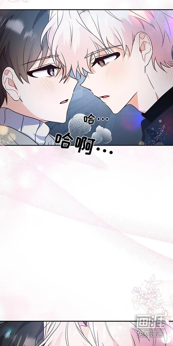 第71章：【完结】笨拙的回忆