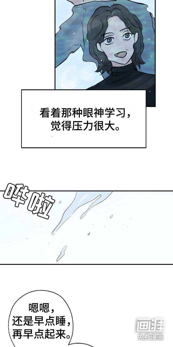 第11章：最佳方案