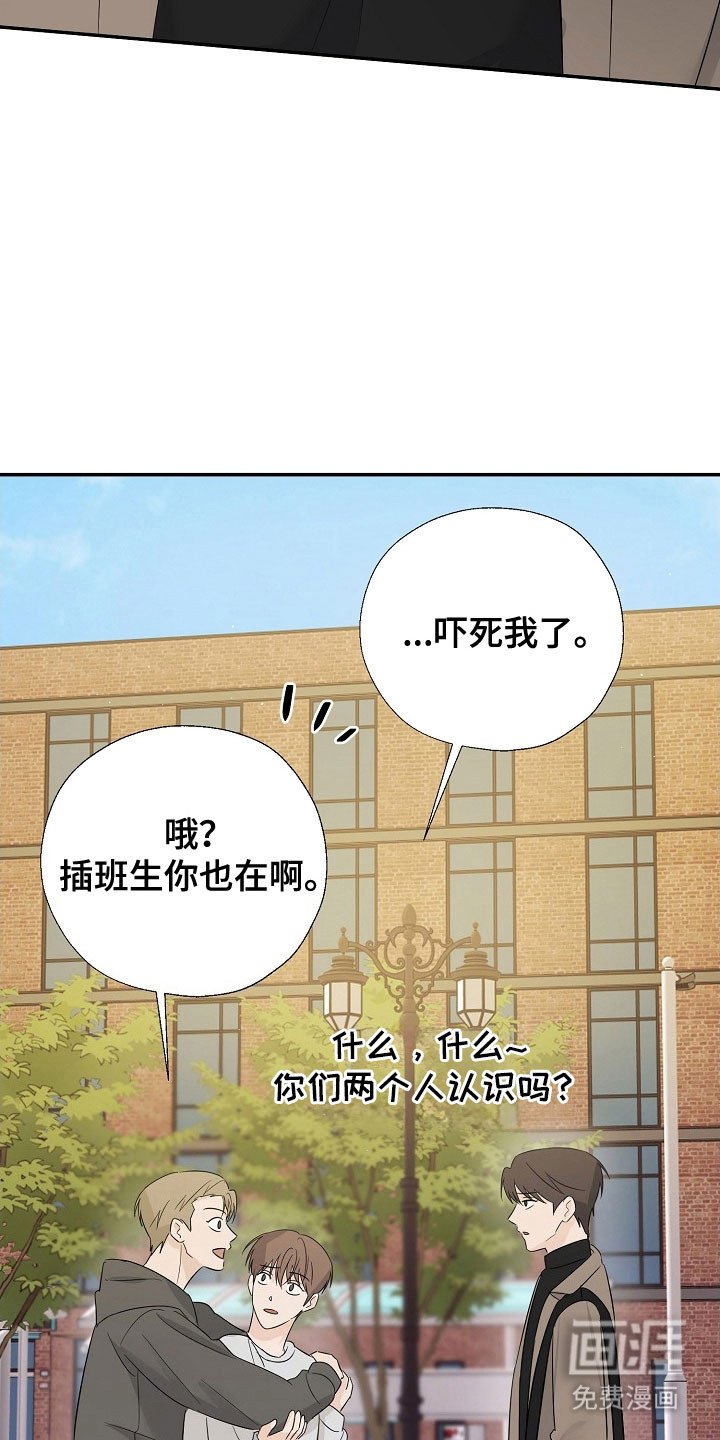 第114章：吃醋气息