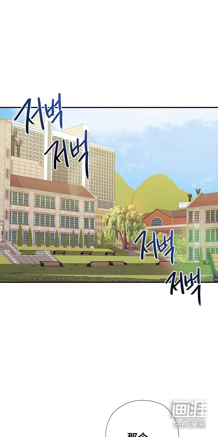 第114章：吃醋气息