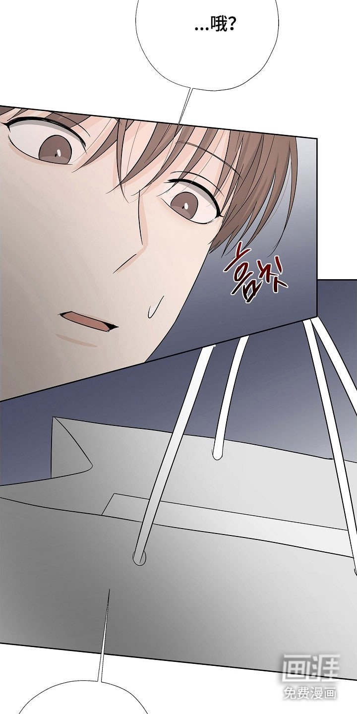 第123章：承担全部