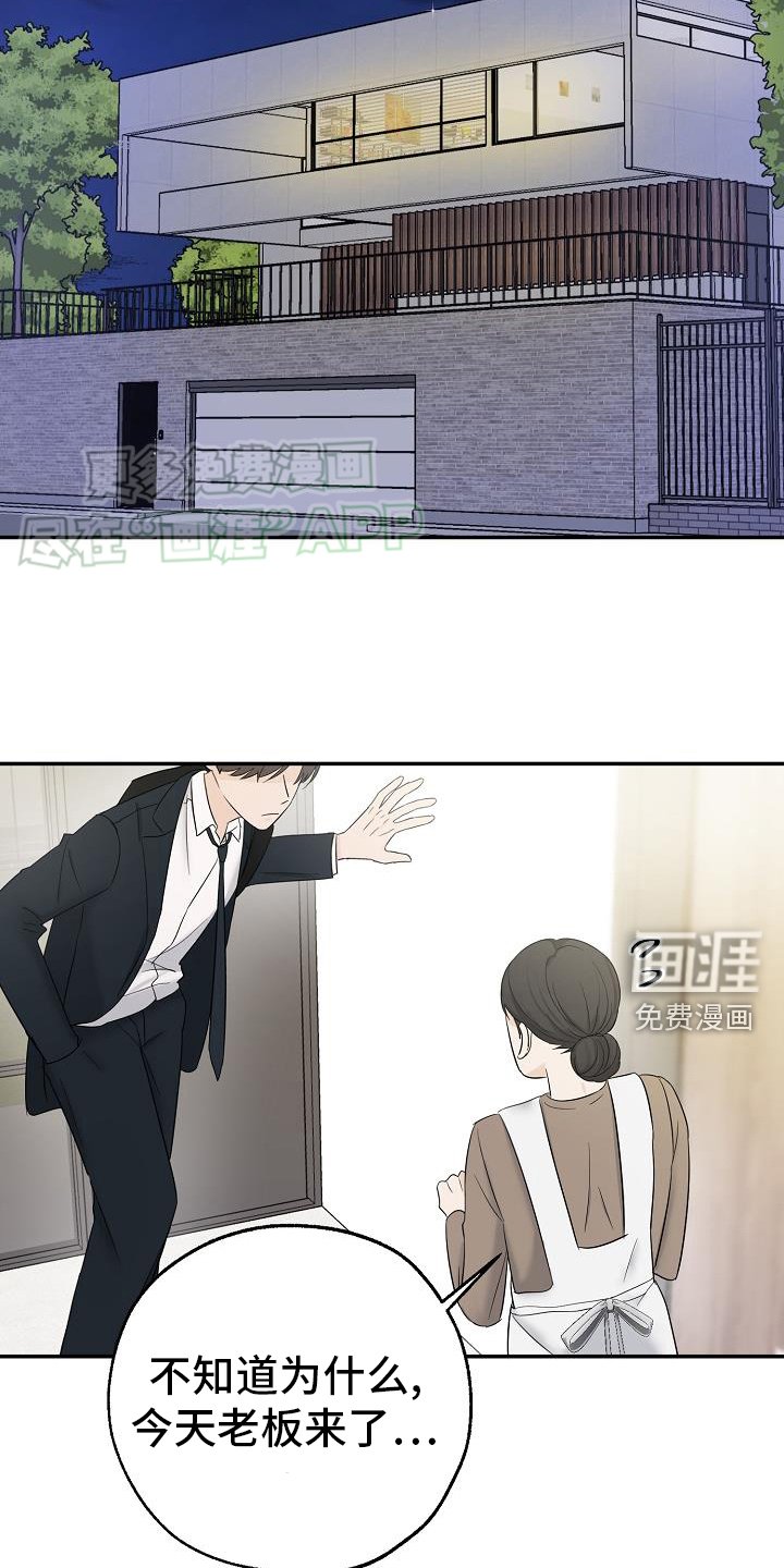 第37章：失望