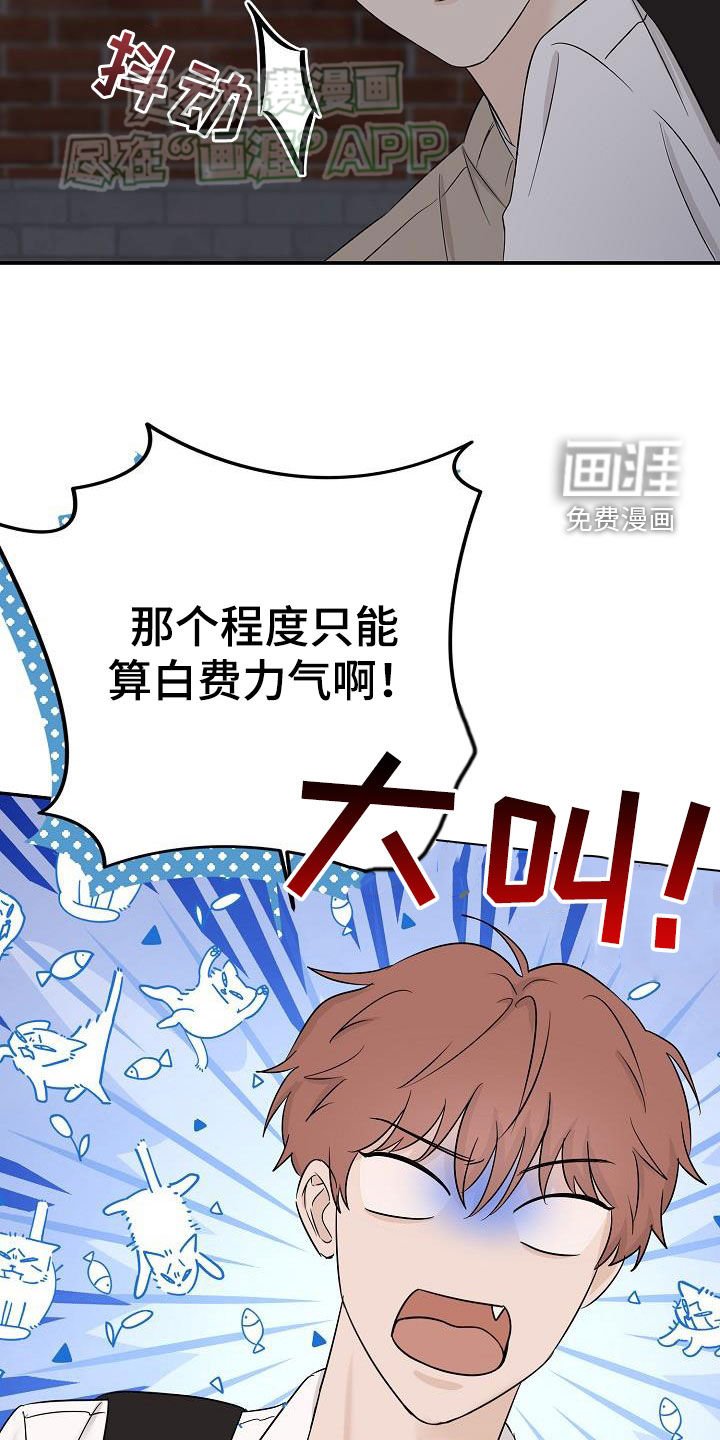 第44章：喜欢