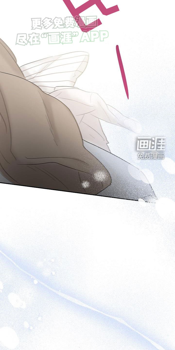 第50章：表明心意