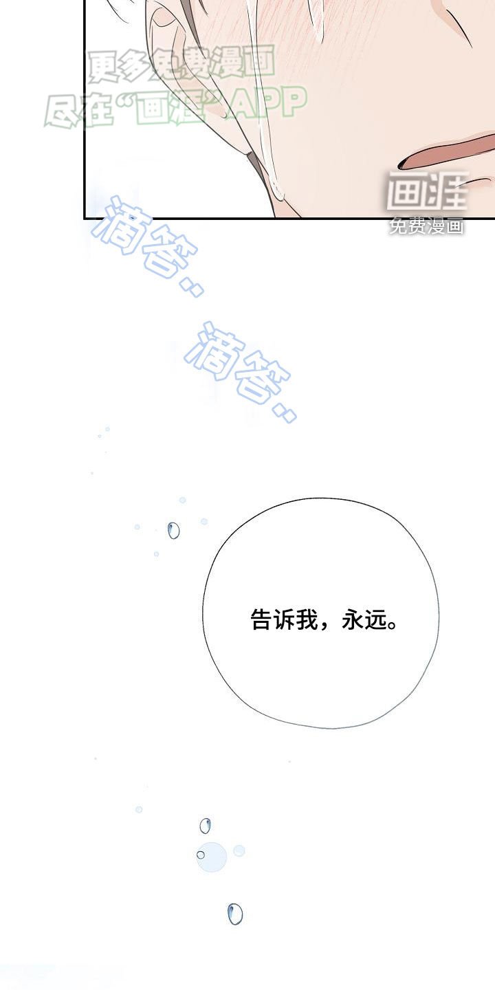 第50章：表明心意