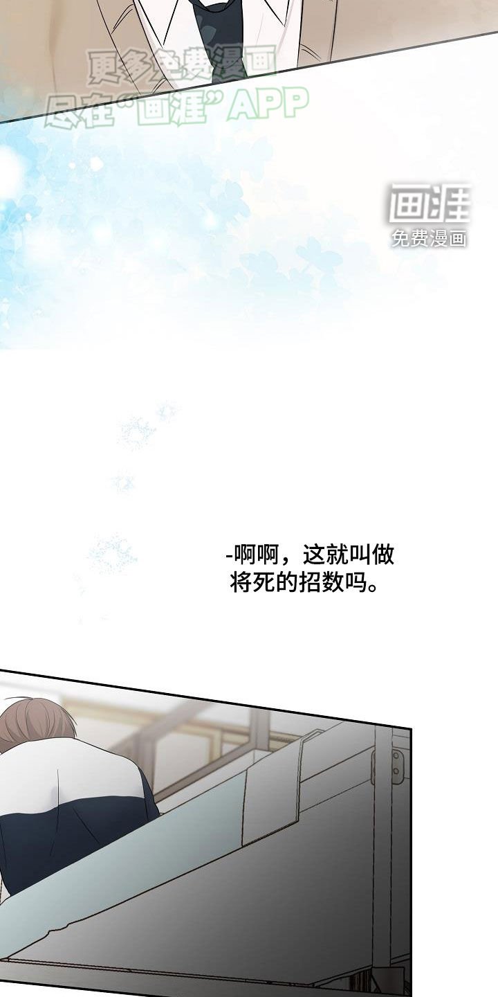 第50章：表明心意