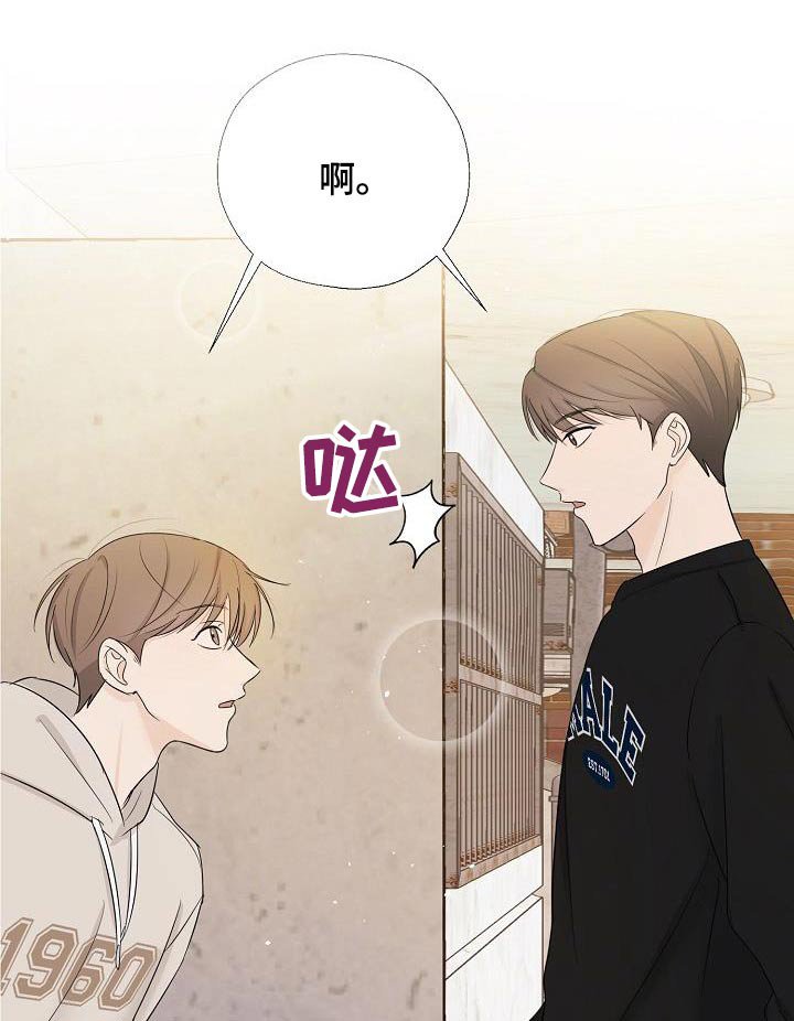 第62章：这些东西
