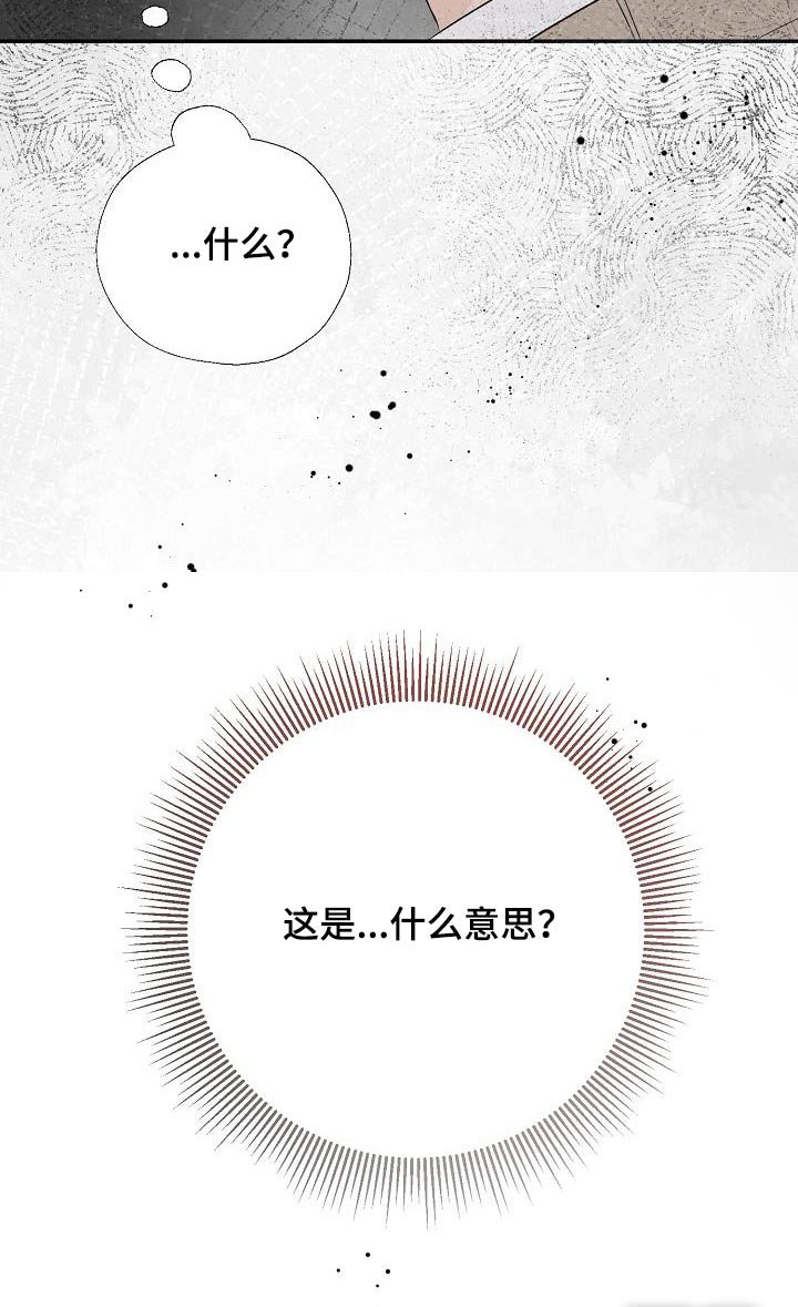 第76章：你什么意思
