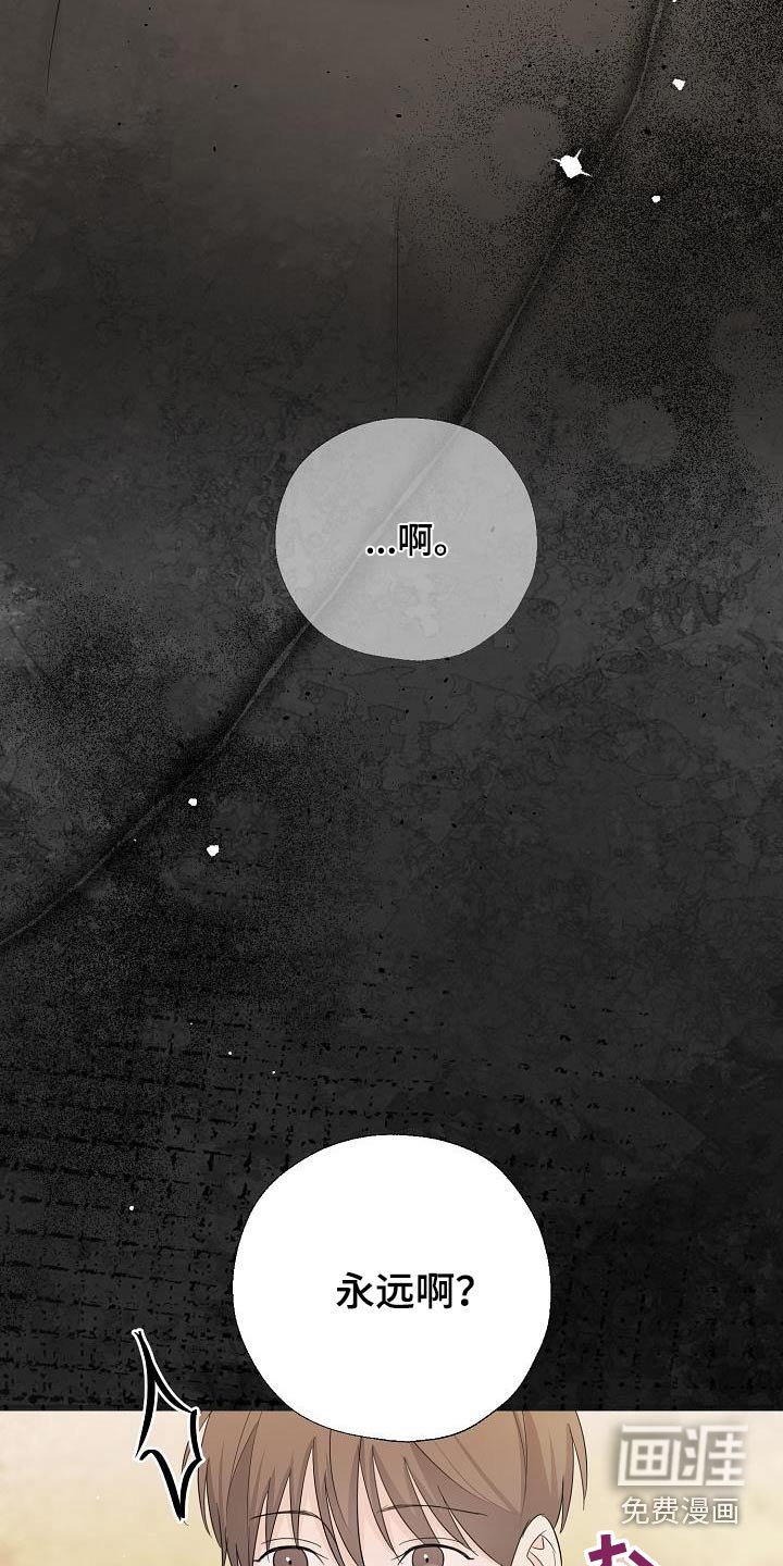 第80章：离婚了