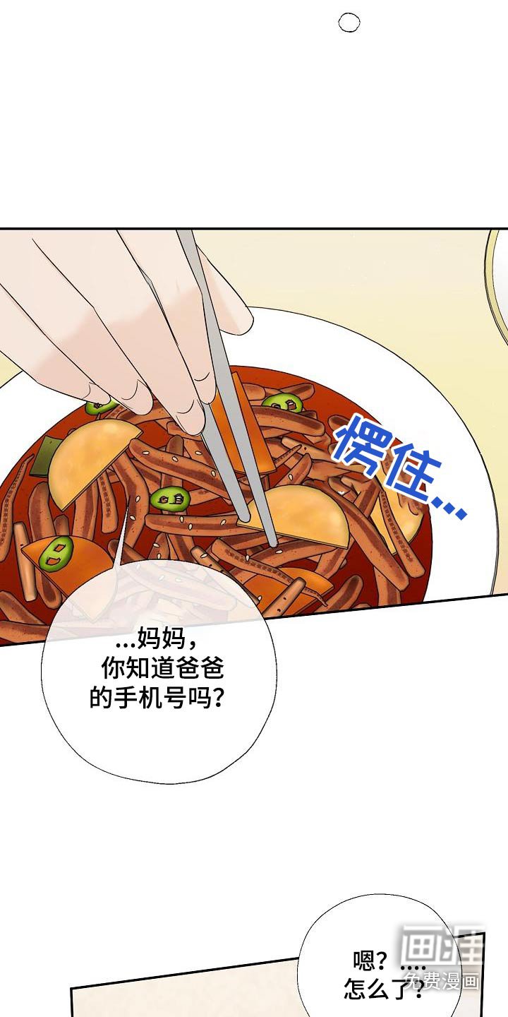 第80章：离婚了