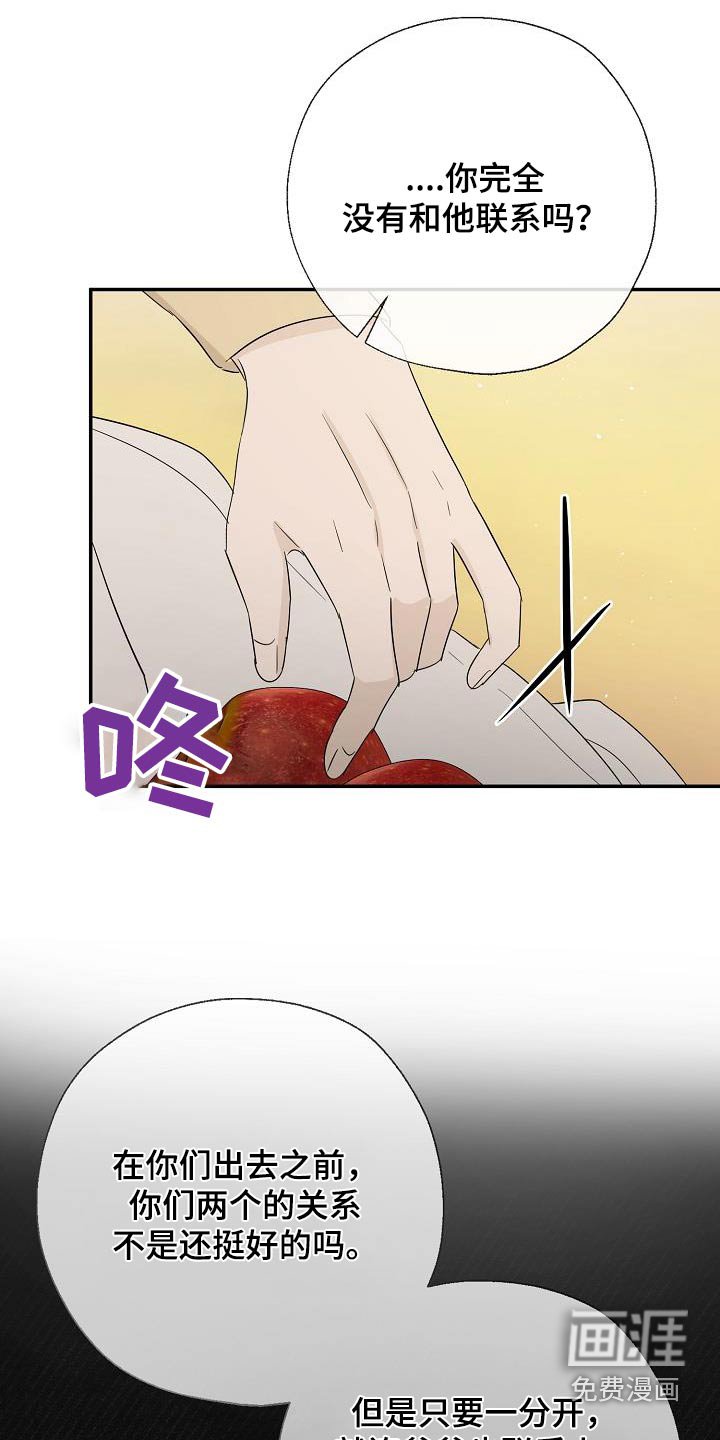 第80章：离婚了