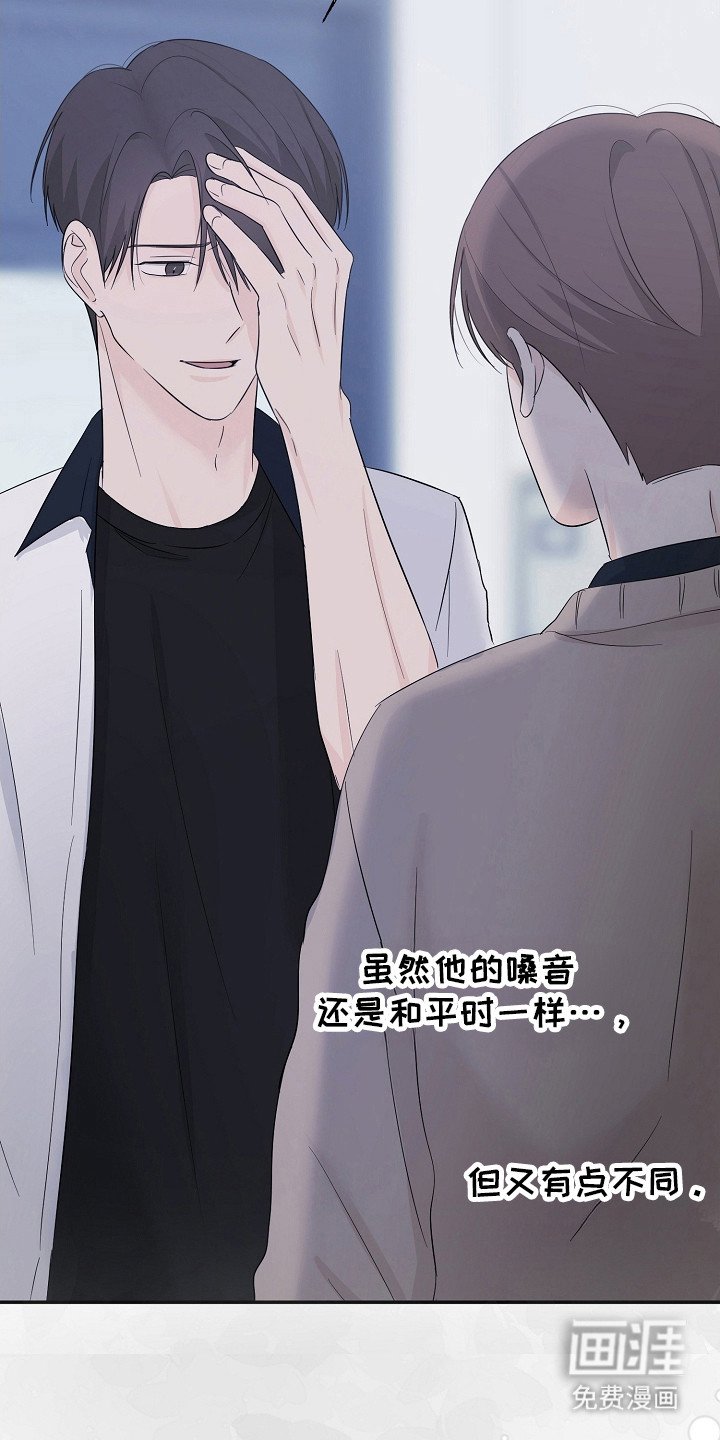 第96章：最好的选择