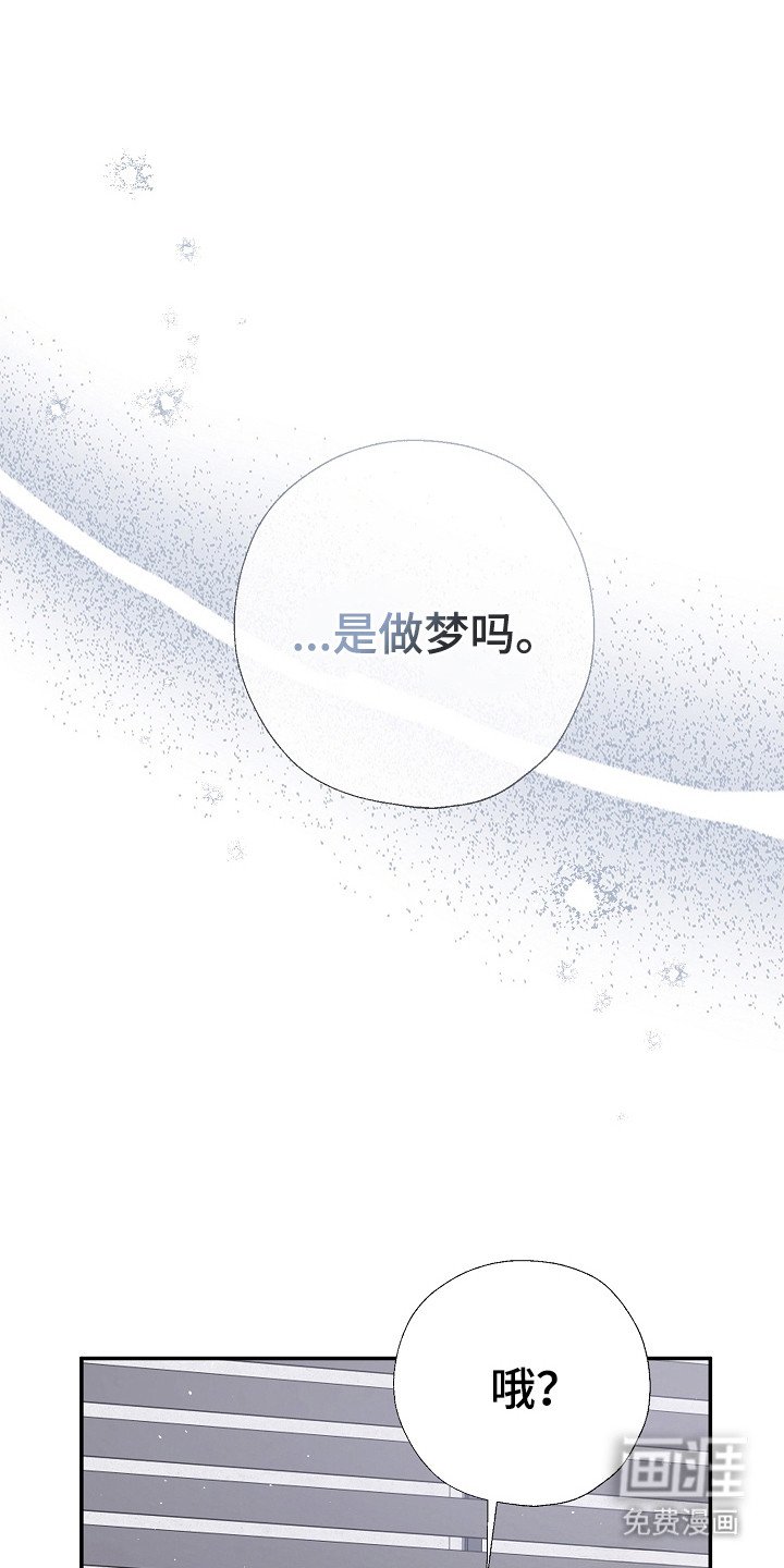 第99章：不要期待
