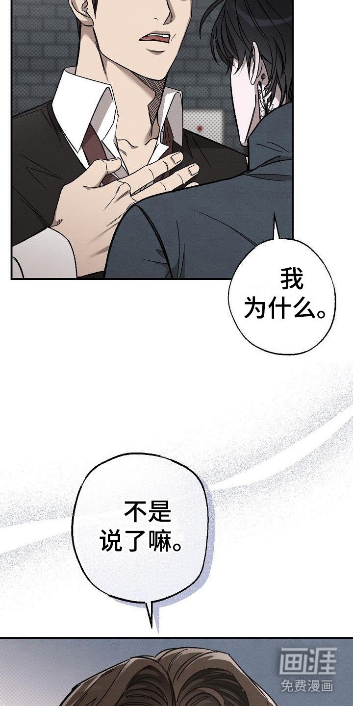 第11章：因为喜欢