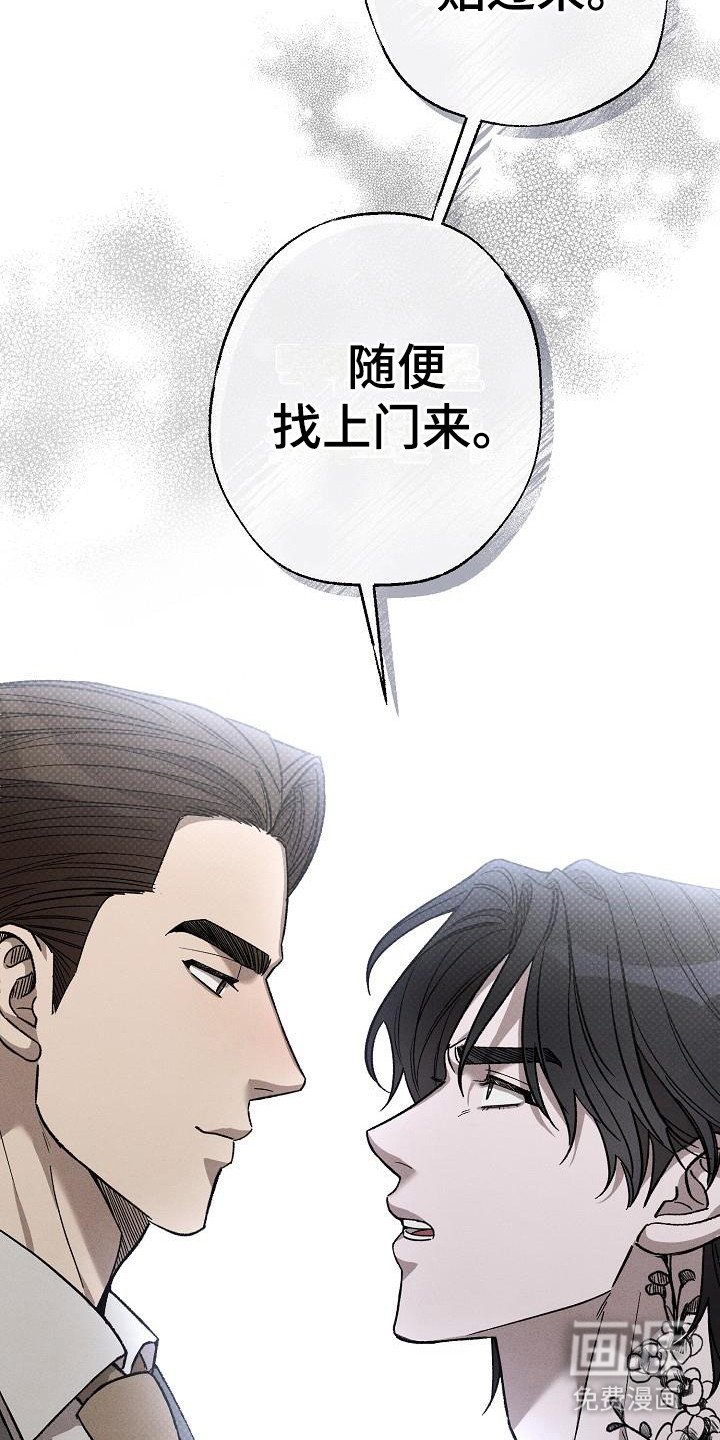 第13章：没情调