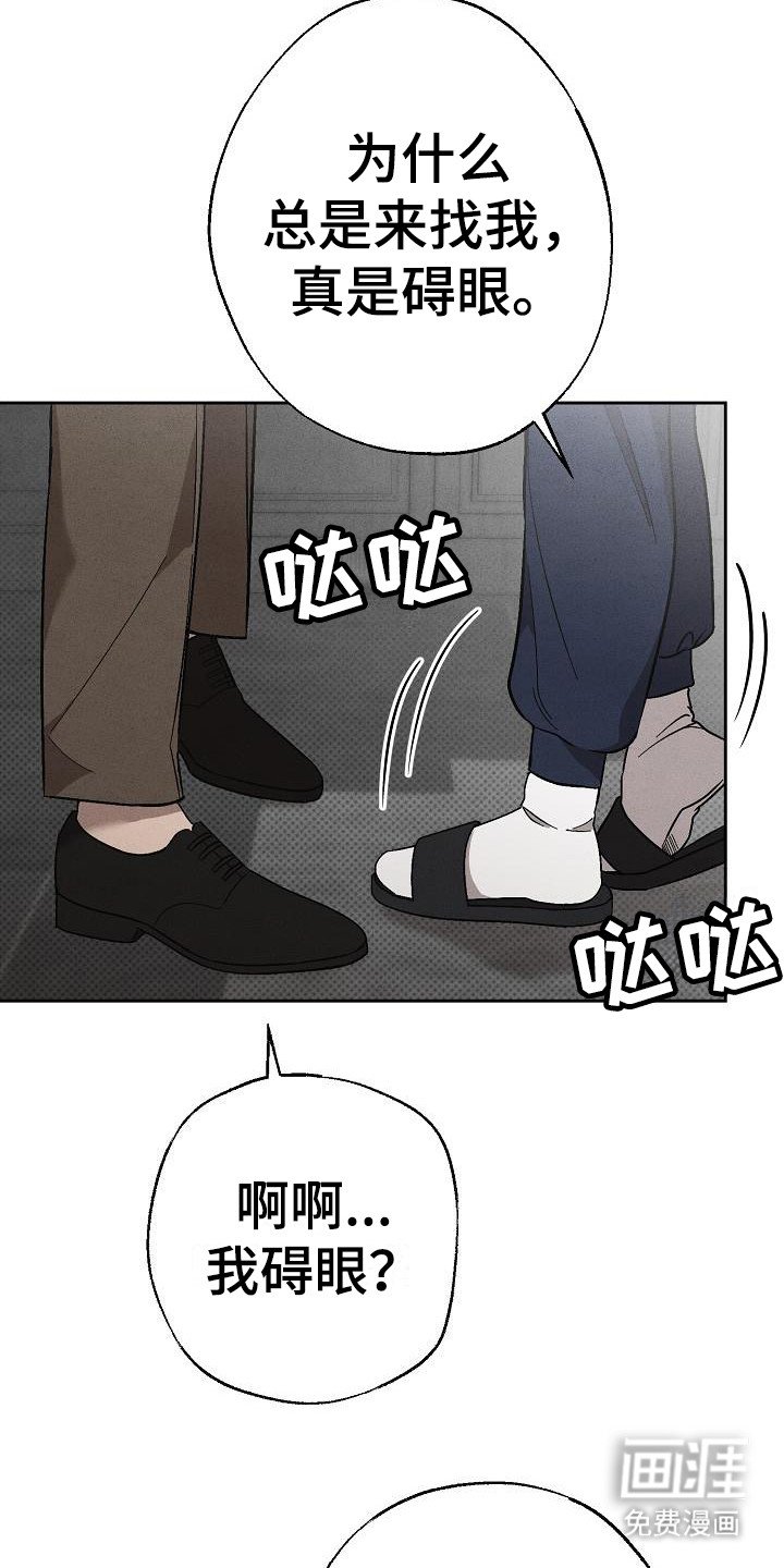 第13章：没情调
