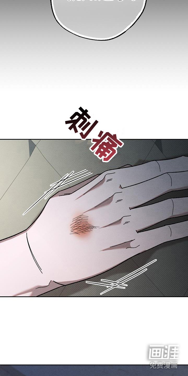 第15章：忍不住心疼