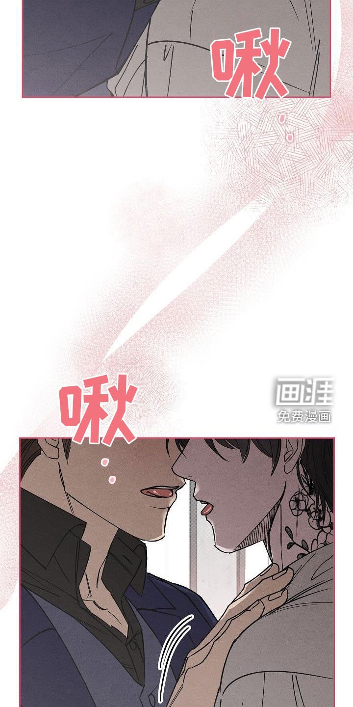 第19章：爱是什么