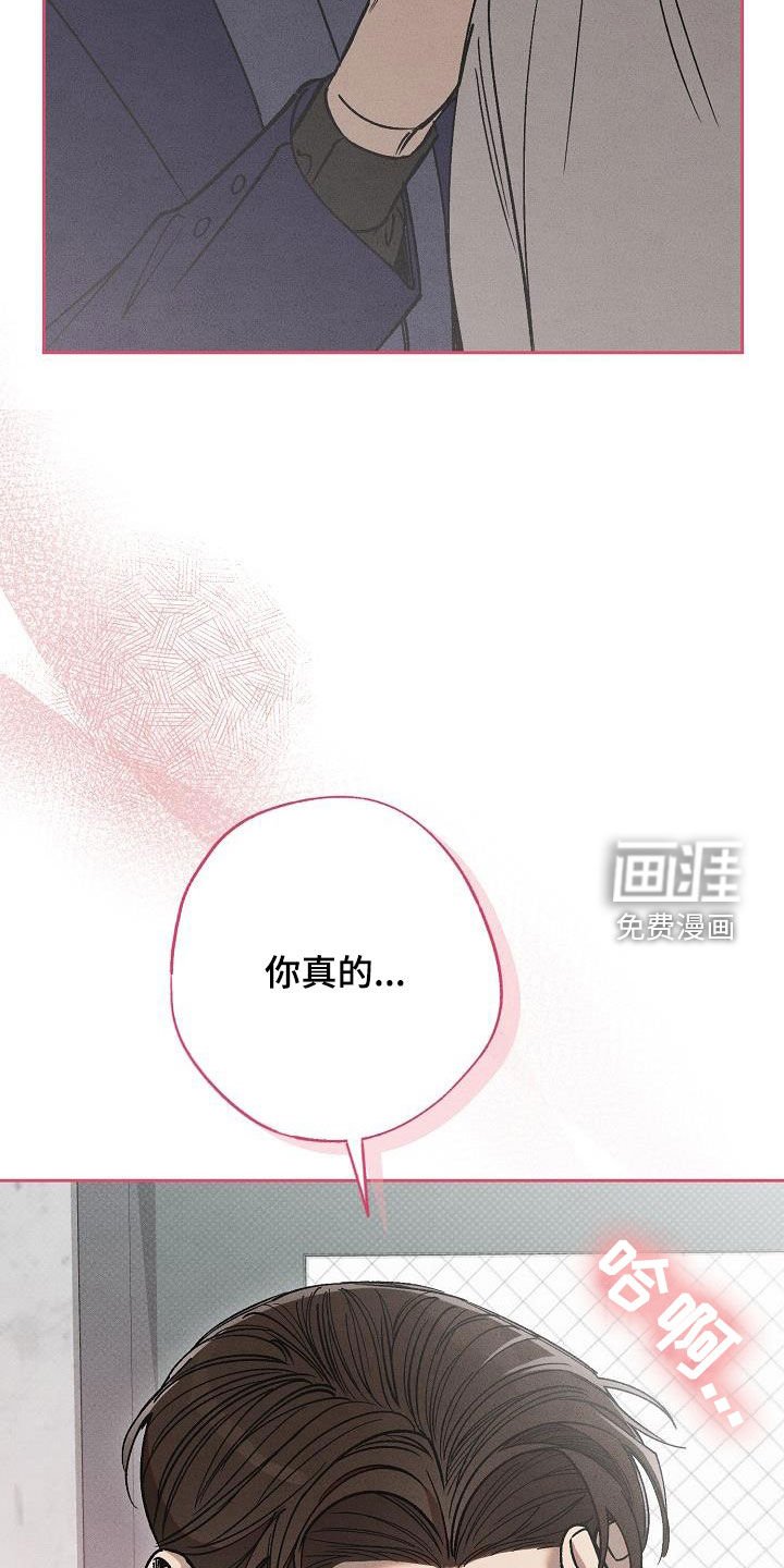 第19章：爱是什么