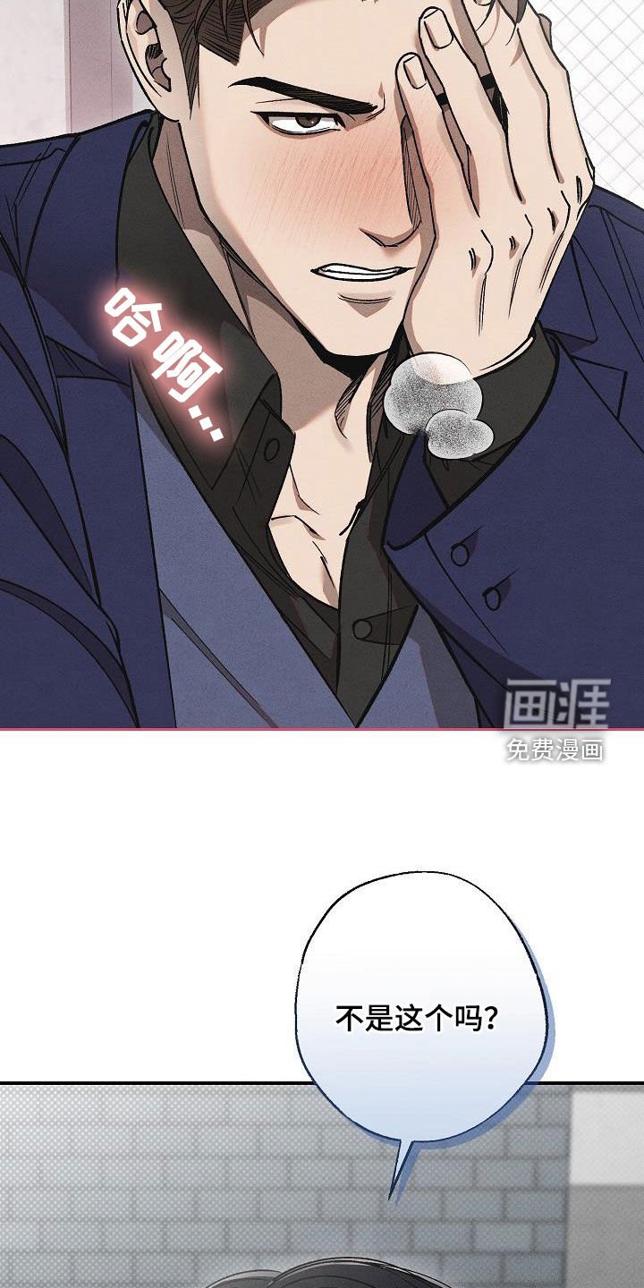 第19章：爱是什么
