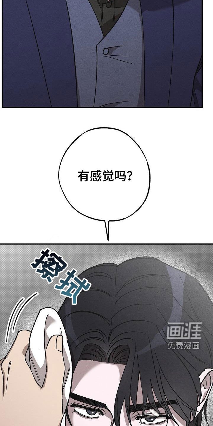 第19章：爱是什么