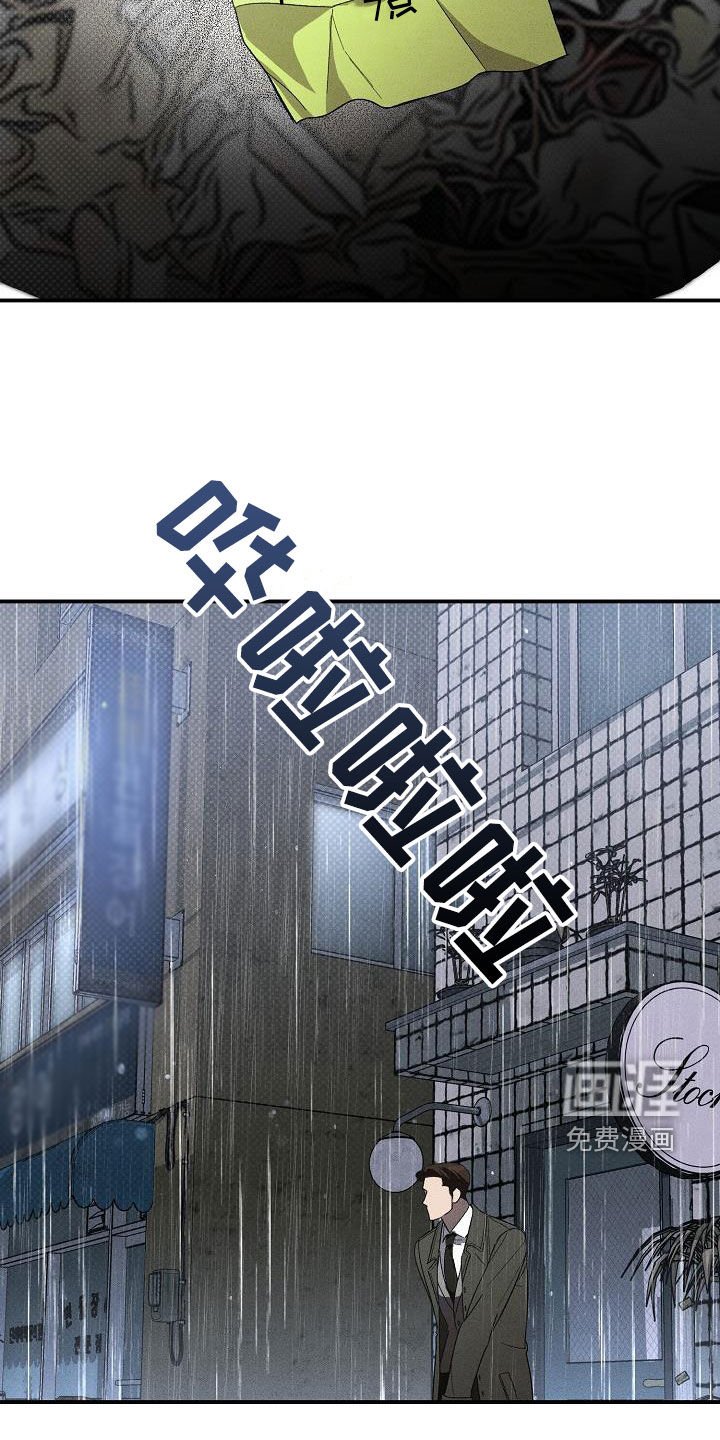 第19章：爱是什么