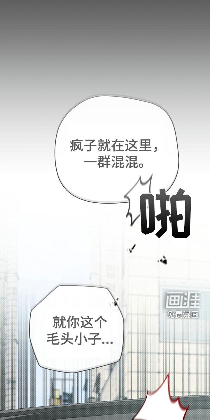 第28章：疯子