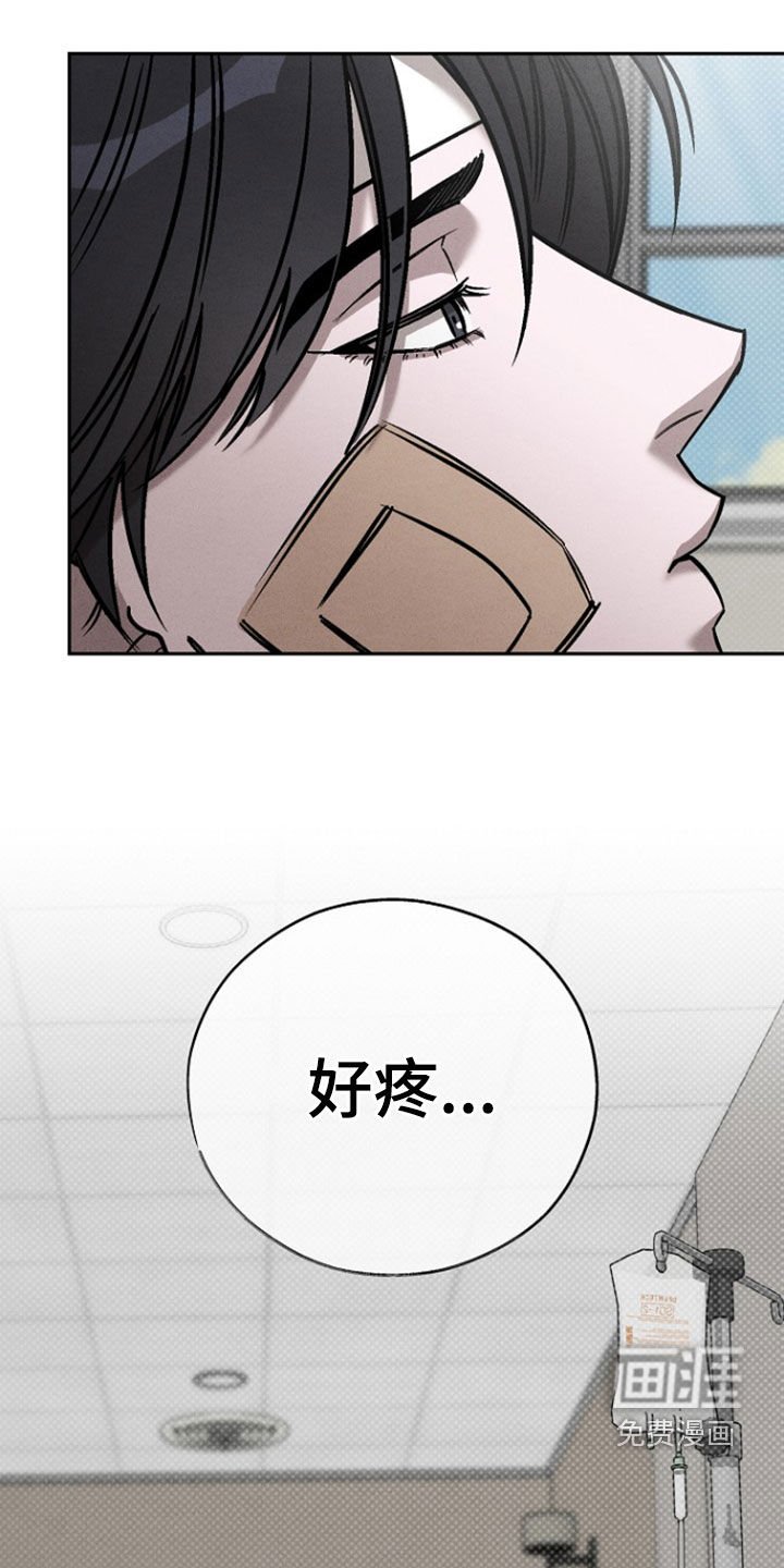 第61章：【第二季】清醒点