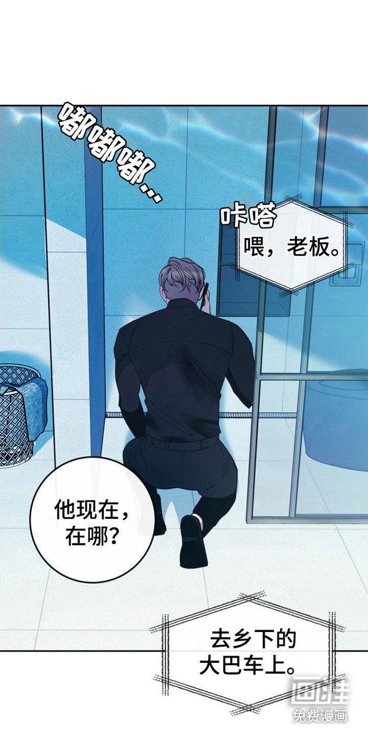 第13章：怀孕了 