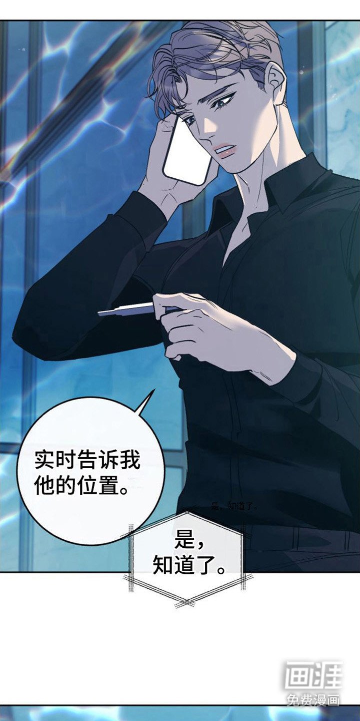 第13章：怀孕了 