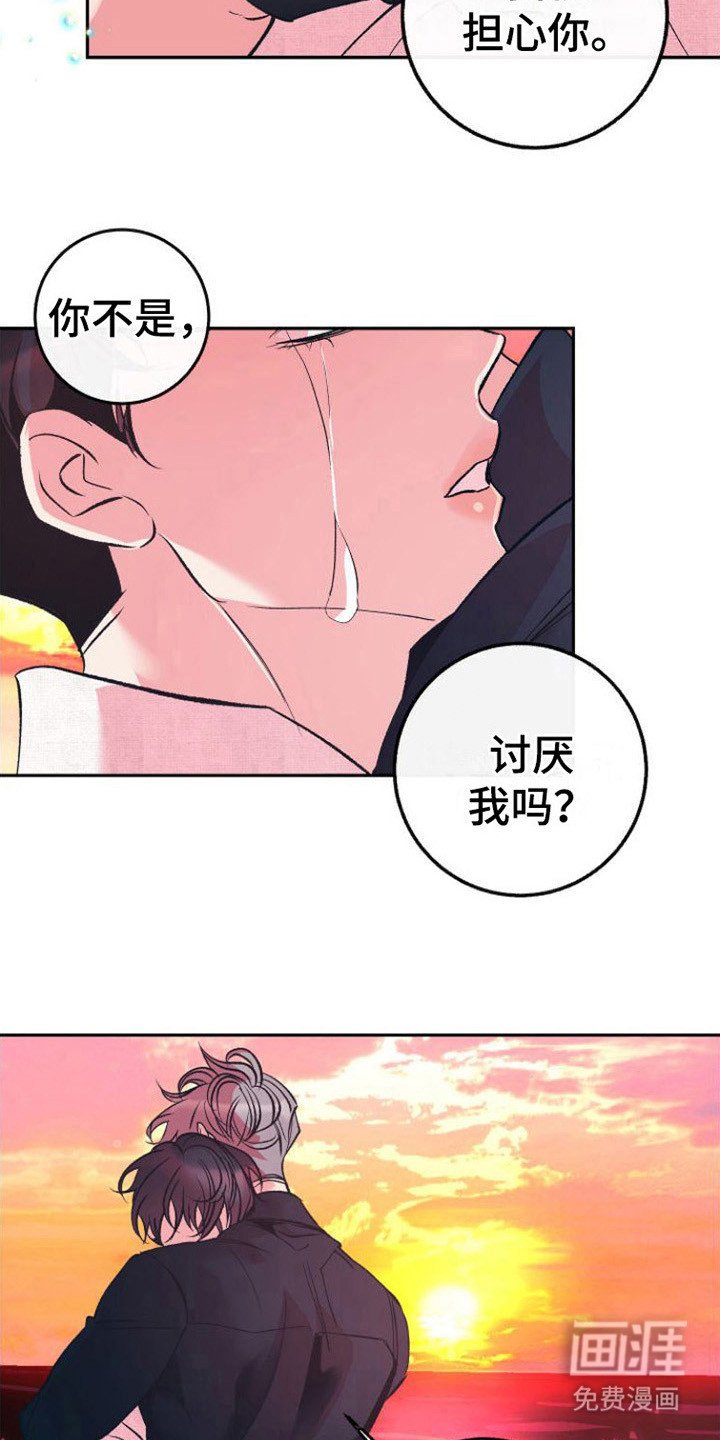第15章：表白