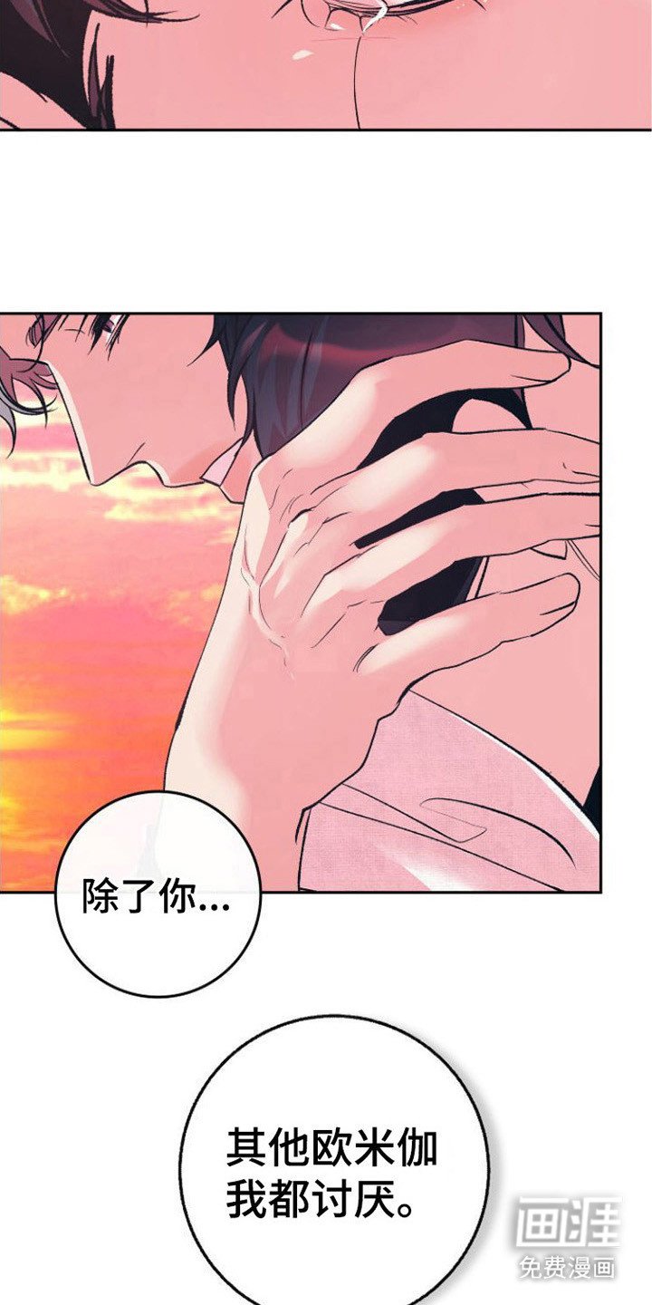 第15章：表白
