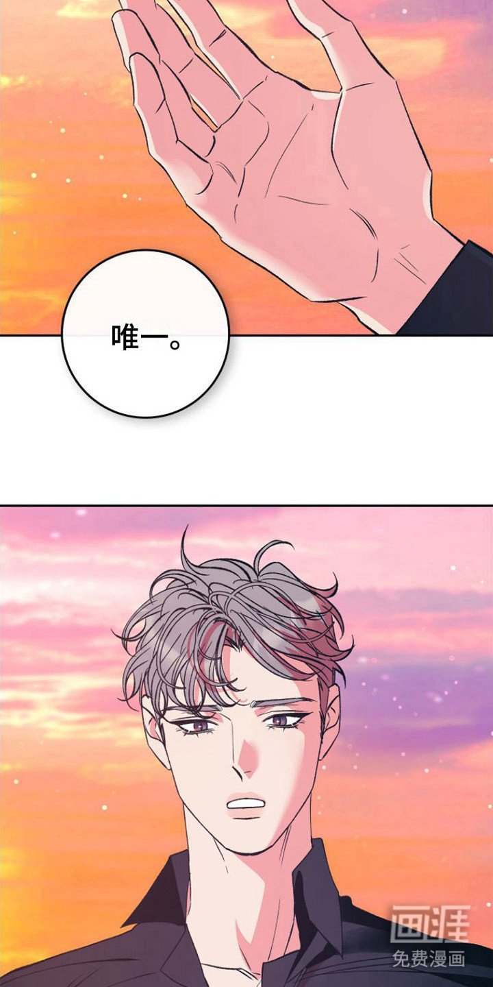 第15章：表白