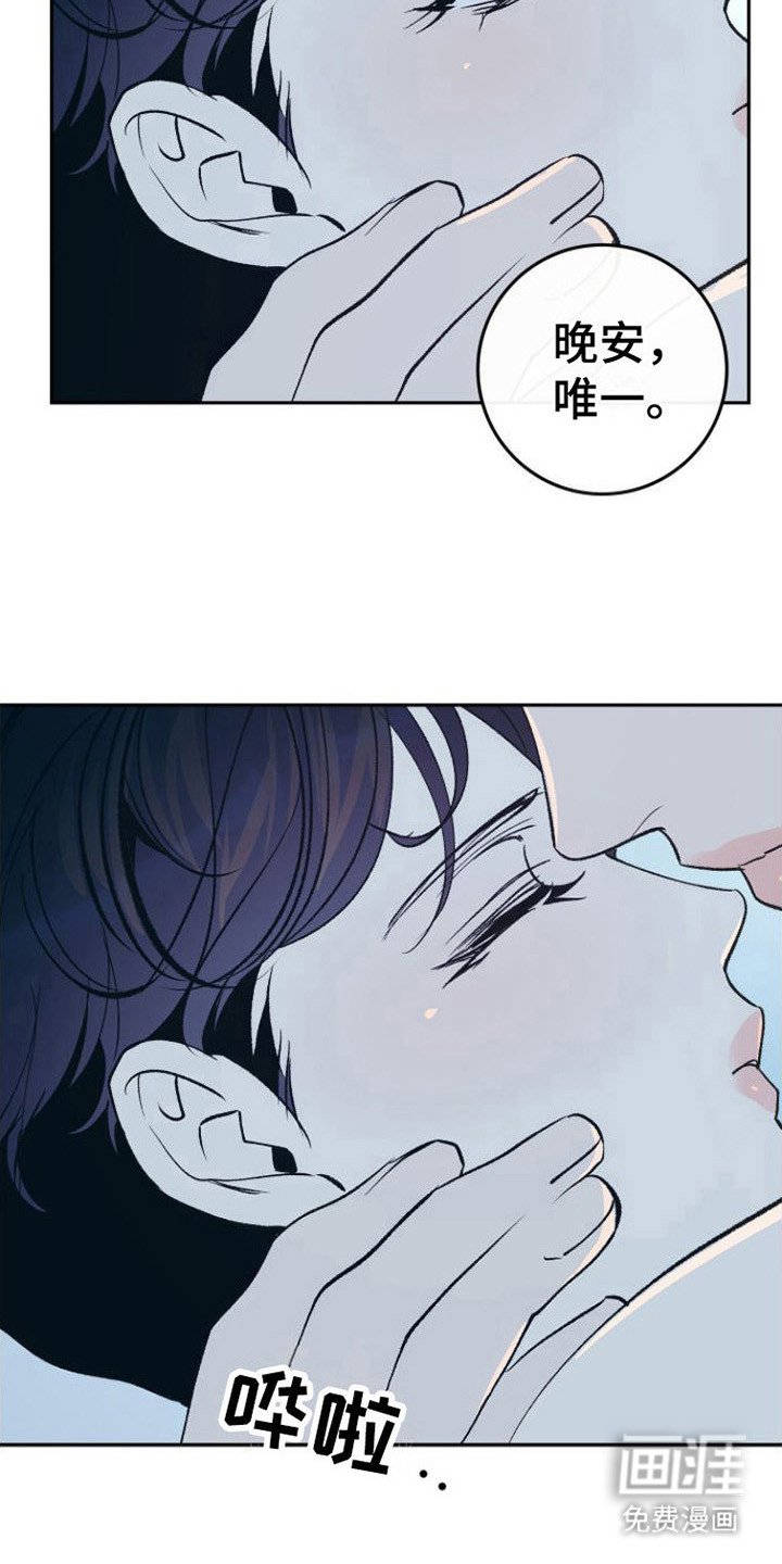 第17章：极优阿尔法