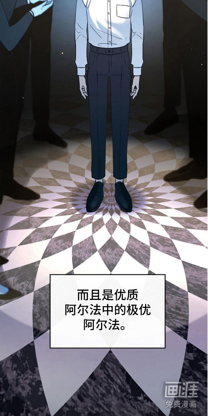 第17章：极优阿尔法