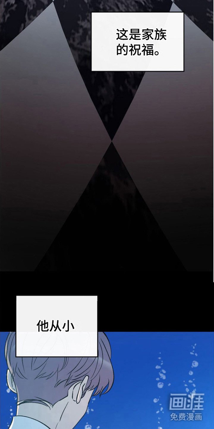 第17章：极优阿尔法